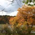 New England